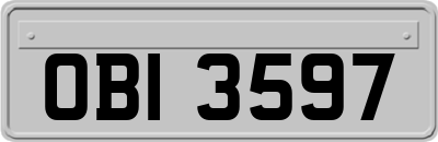 OBI3597