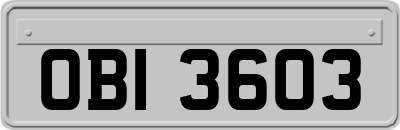 OBI3603