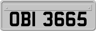 OBI3665