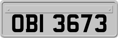 OBI3673