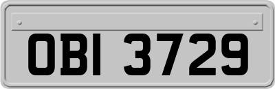 OBI3729