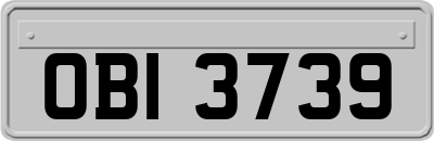 OBI3739