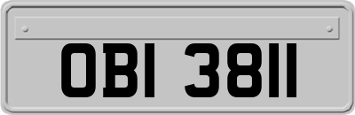 OBI3811