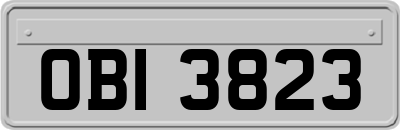OBI3823