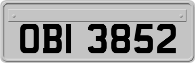 OBI3852