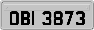 OBI3873