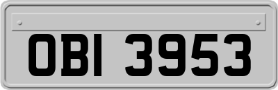 OBI3953