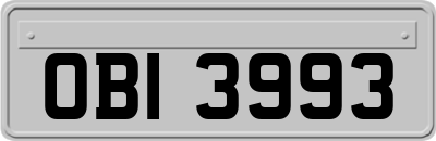 OBI3993
