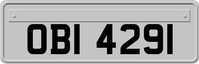 OBI4291