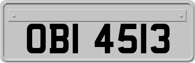OBI4513