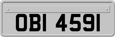 OBI4591