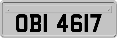 OBI4617