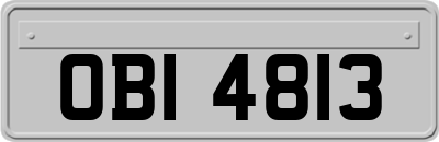 OBI4813