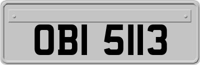 OBI5113