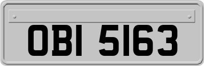 OBI5163
