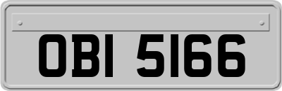 OBI5166