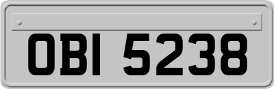 OBI5238