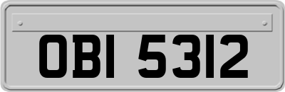 OBI5312