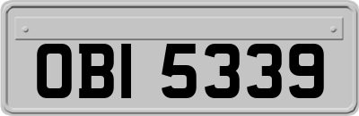 OBI5339