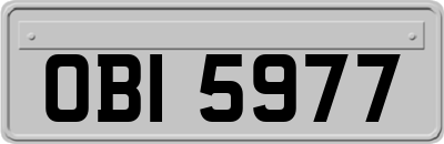 OBI5977