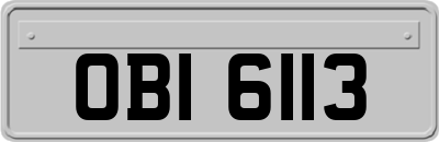 OBI6113