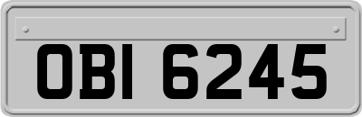 OBI6245