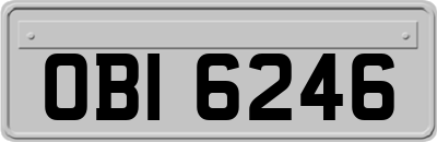 OBI6246