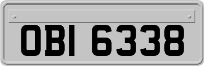 OBI6338
