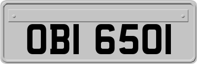 OBI6501