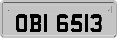 OBI6513