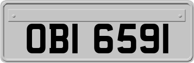 OBI6591