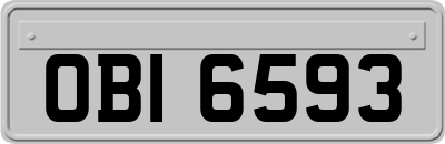 OBI6593