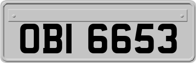 OBI6653