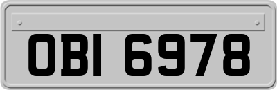 OBI6978