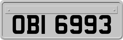 OBI6993