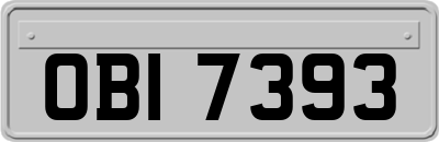 OBI7393