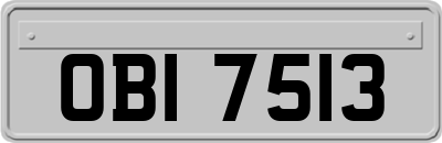 OBI7513