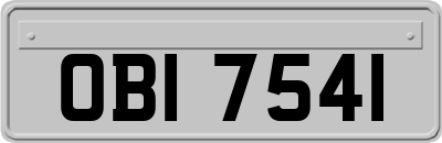 OBI7541