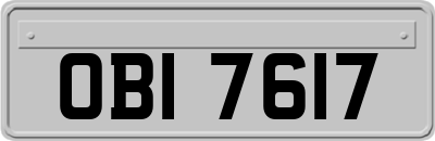 OBI7617