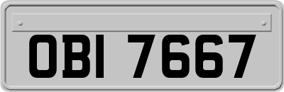 OBI7667