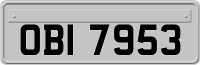 OBI7953