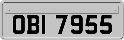 OBI7955
