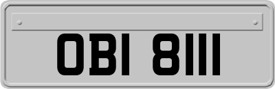 OBI8111