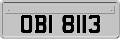 OBI8113