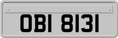 OBI8131