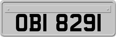 OBI8291