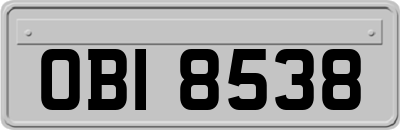 OBI8538