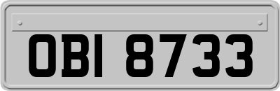 OBI8733