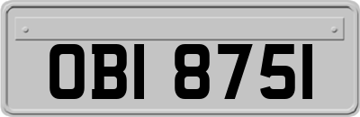 OBI8751