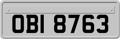 OBI8763